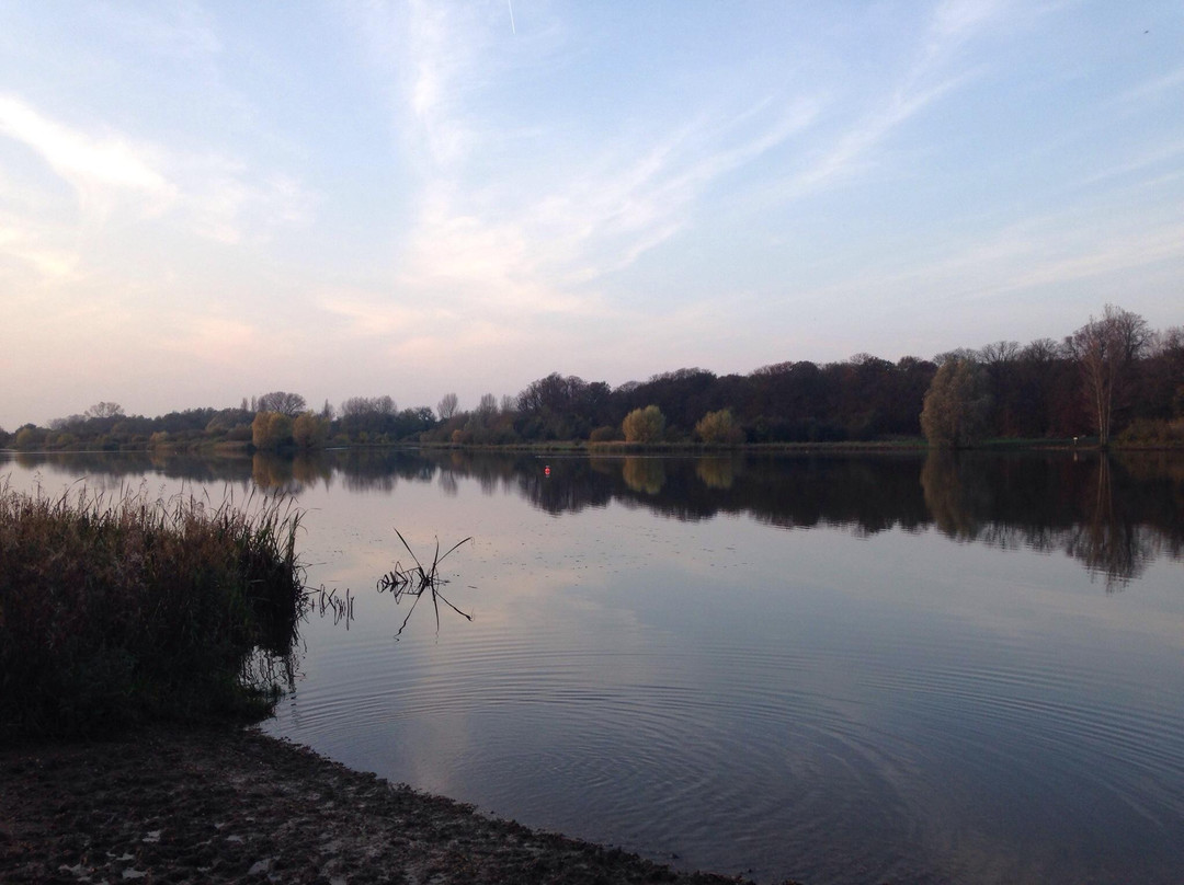 Hinchingbrooke Country Park景点图片