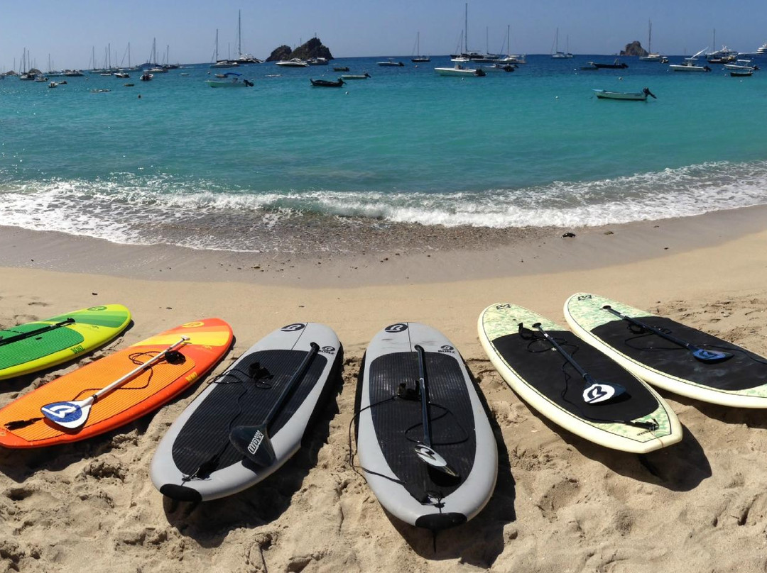 Stand up Paddle Adventure-居斯塔维亚必去景点