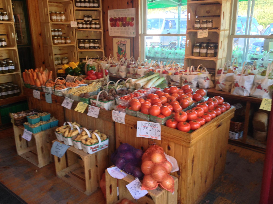 Hy Hope Farm-Ashburn必去景点