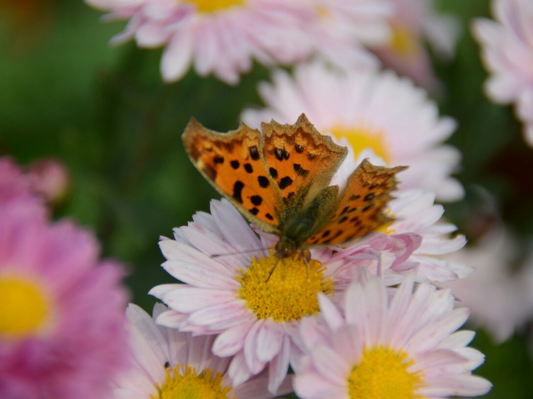 太原西山万亩生态园-太原市必去景点