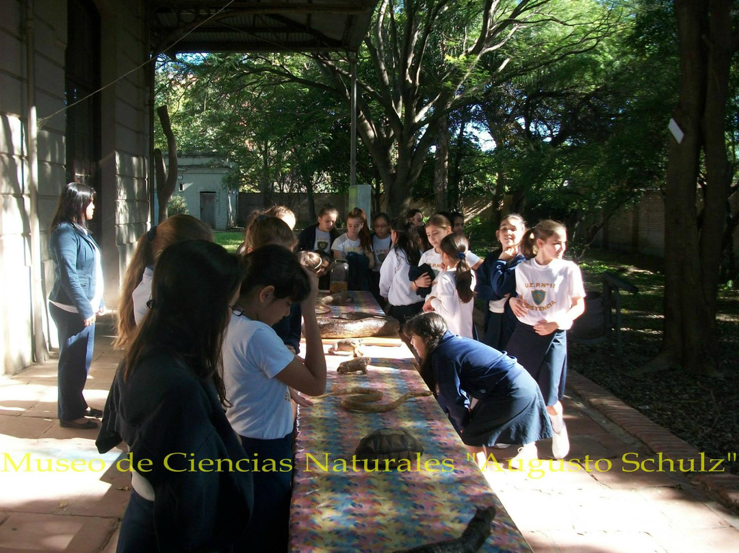 Museo de Ciencias Naturales Augusto Schulz景点图片