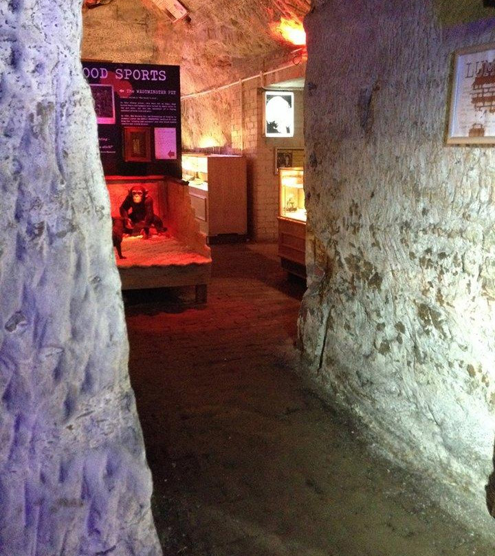 The True CRIME Museum景点图片