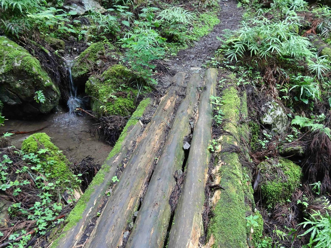 Osuzawa Limestone Cavern-饭能市必去景点