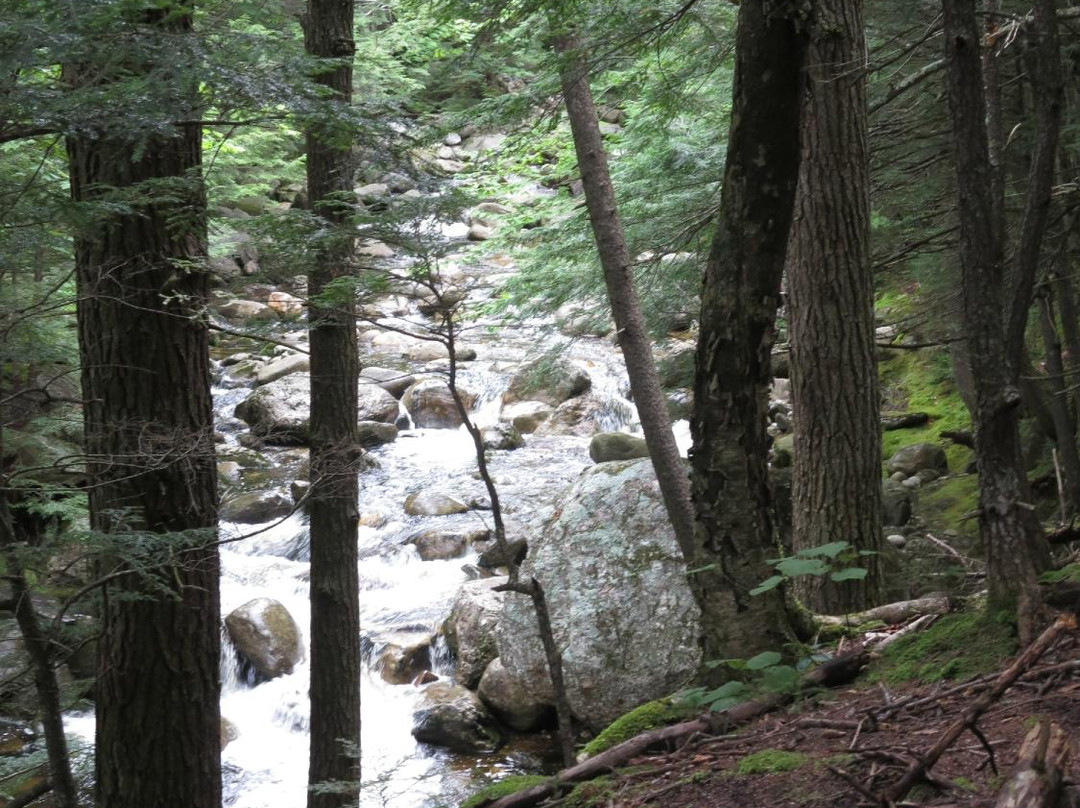 Step Falls Preserve Hiking Trail景点图片