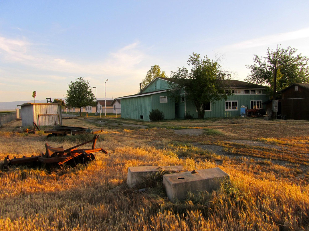 Weedpatch Camp-贝克斯菲尔德必去景点