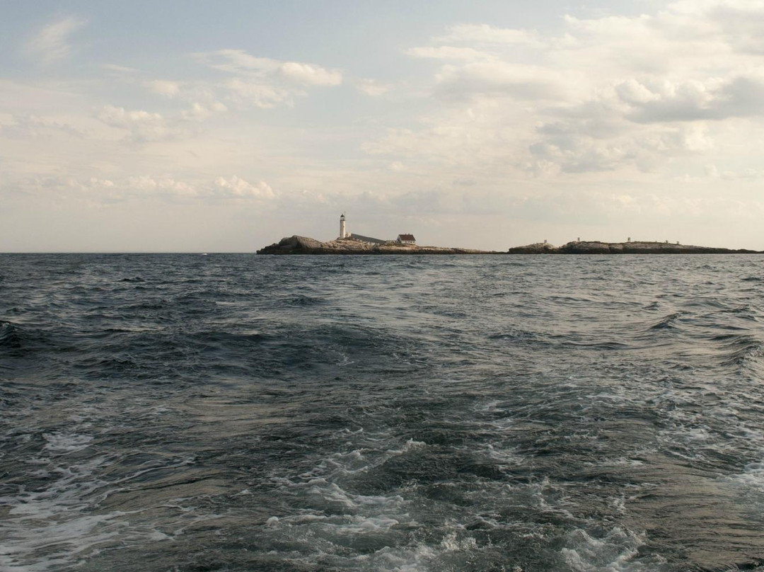 Island Cruises景点图片