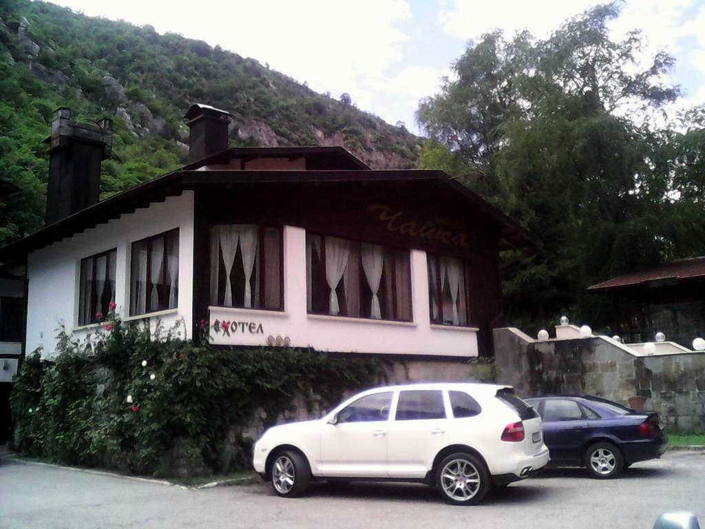 Hotel Complex Chayka-餐饮