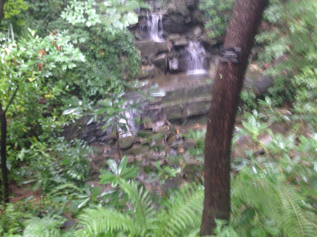 天鹅屋-亚特兰大必去景点