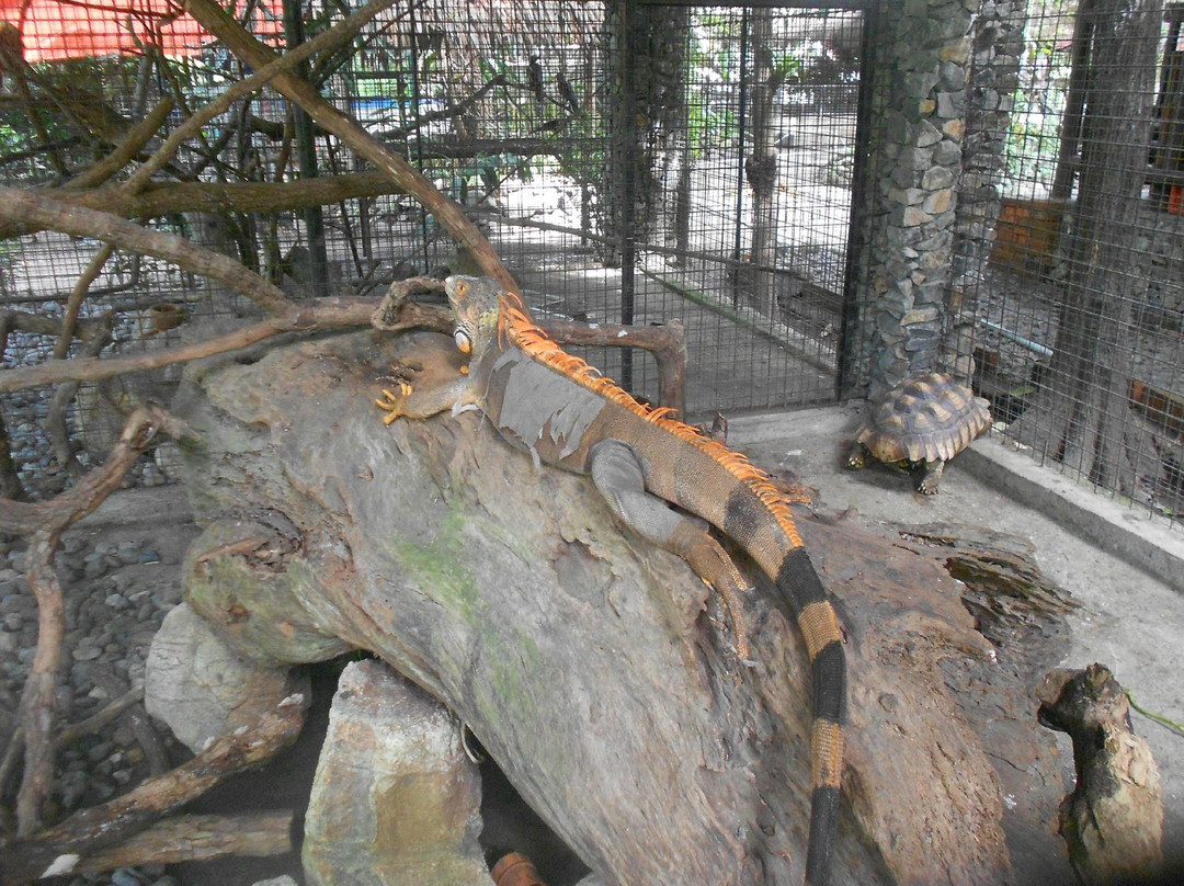 Botolan Wildlife Farm景点图片