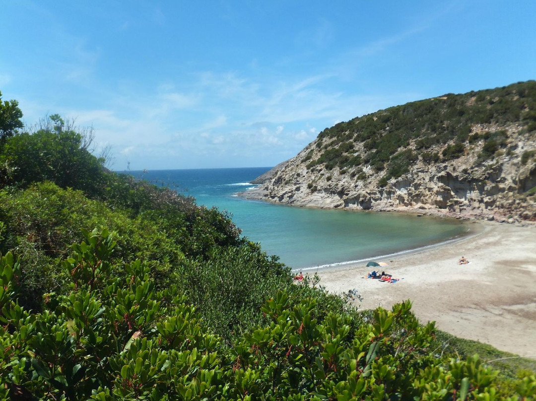 Spiaggia Cala Lunga-Calasetta必去景点