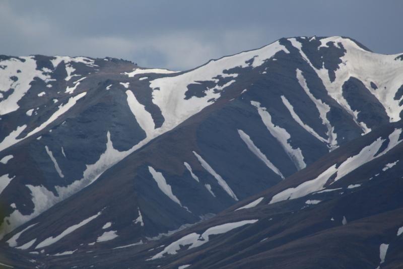 Denali Natural History Tour-德纳利国家公园和自然保护区必去景点