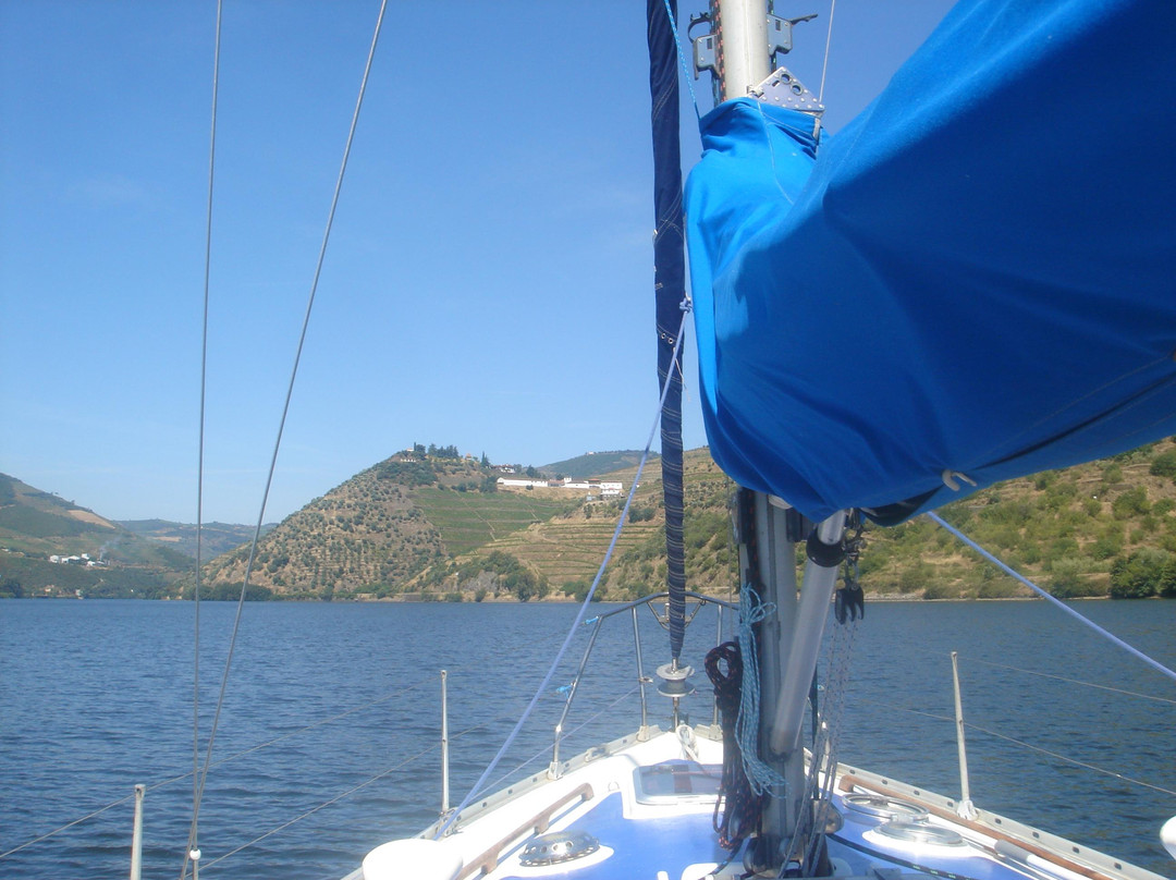 Anima Durius Douro River Cruises景点图片