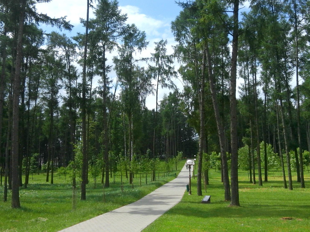 Pobedy Park景点图片