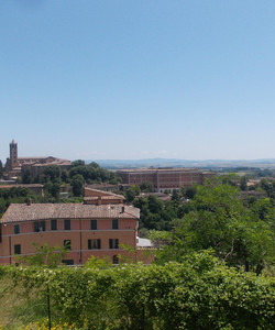 Orti dei Tolomei景点门票图片