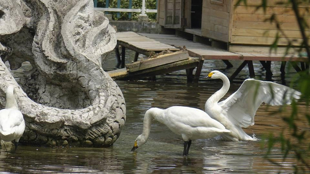 碧洲公园-湘乡市必去景点