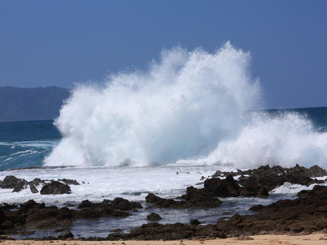 普普科亚海滨公园-哈雷瓦必去景点