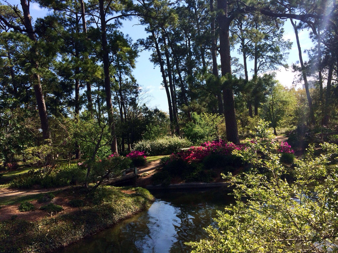 赫曼公园-休斯顿必去景点