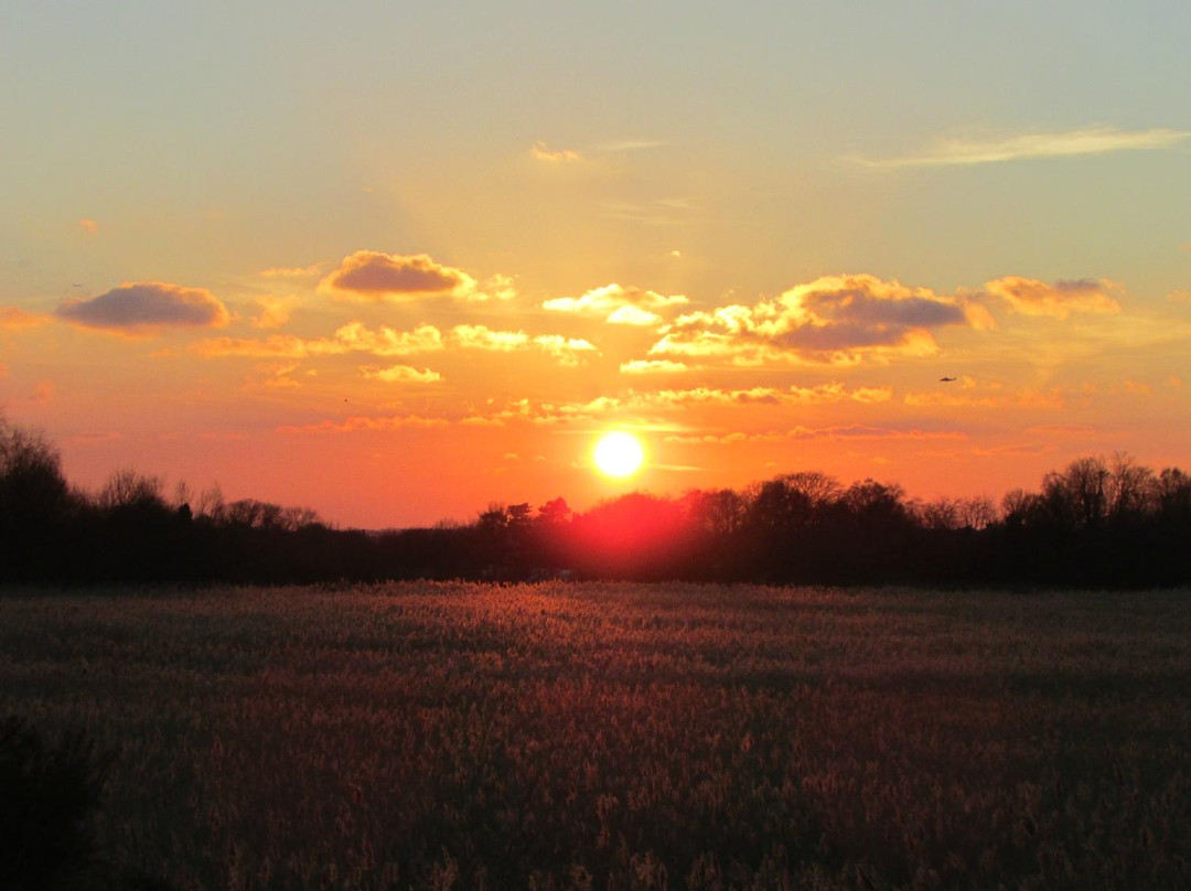 Brandon Marsh Nature Reserve景点图片