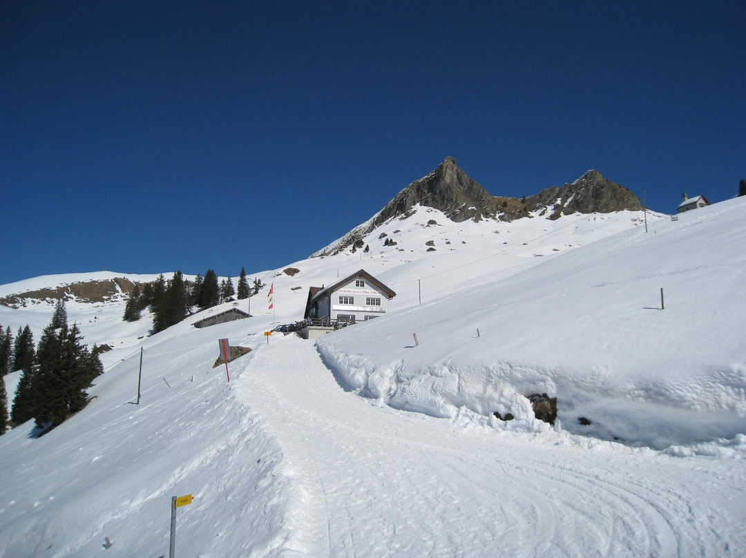 Klöntal餐馆和美食-Druesberghütte