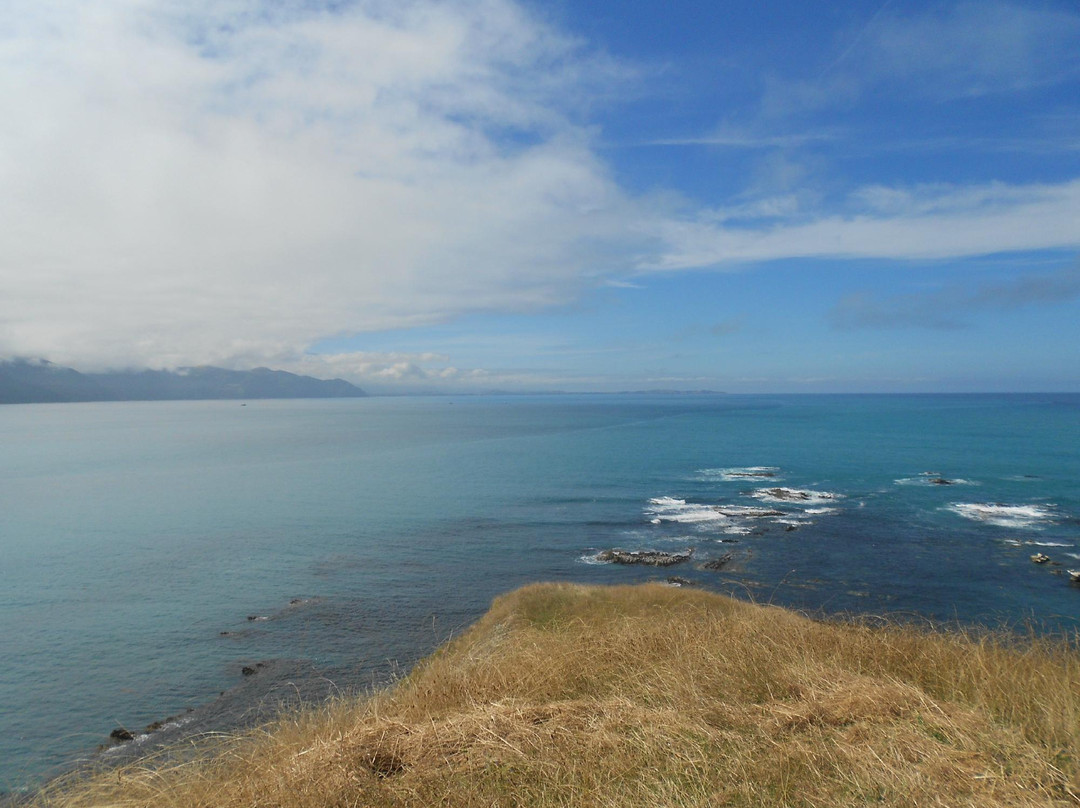 Glenstrae Farm 4 Wheel Adventures-Kaikoura必去景点