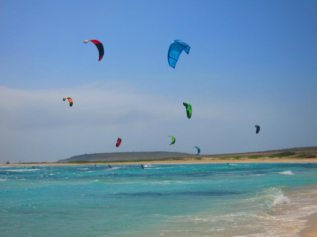 Pro Kite School Aruba-Santa Cruz必去景点