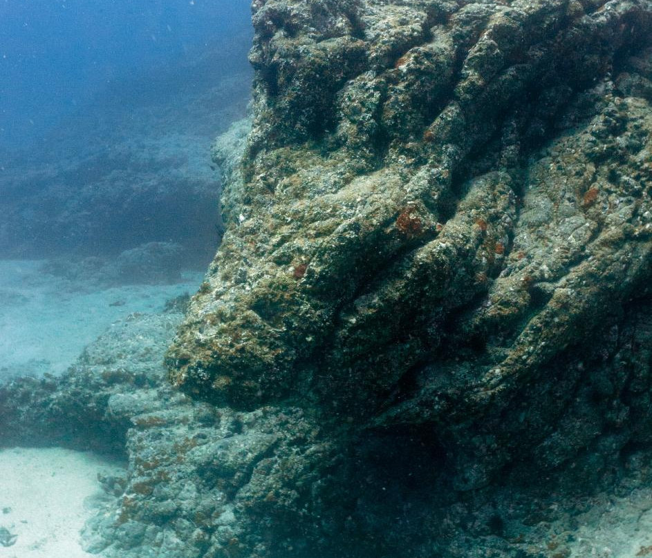 Amarilla Divers-Los Abrigos必去景点