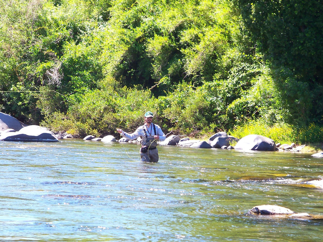 Alpaca Ciclismo-Curico必去景点
