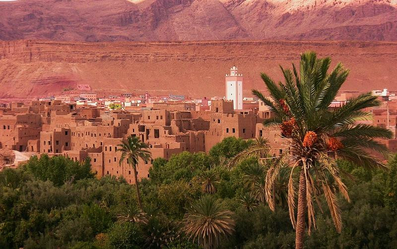 Under Moroccan Sun, LLC - Morocco Tours Specialist-卡萨布兰卡必去景点
