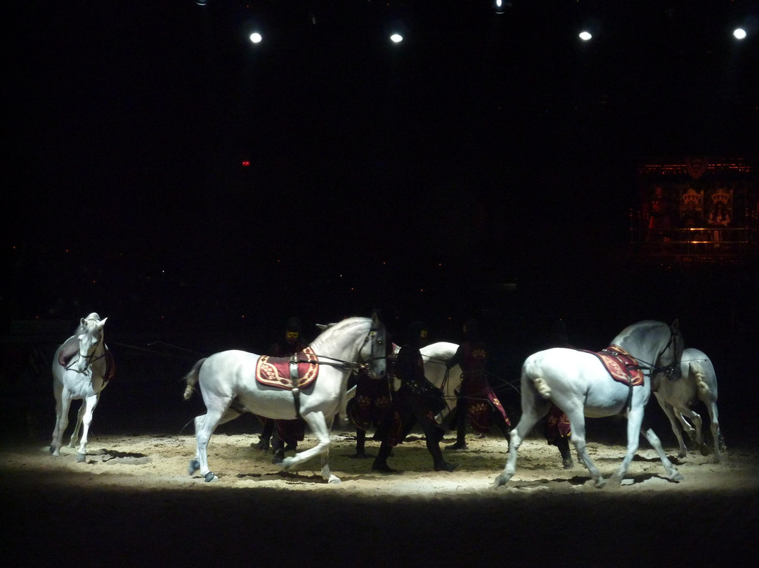 Medieval Times Dinner & Tournament-达拉斯必去景点
