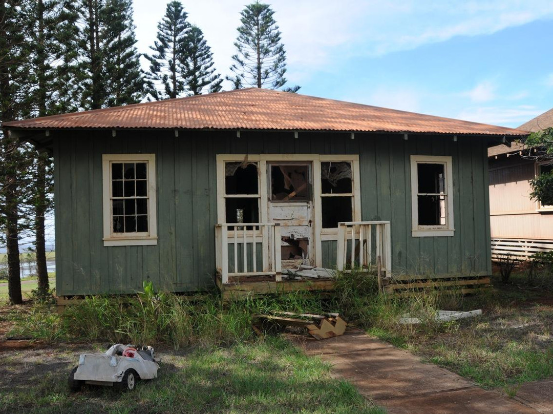 Mauna Loa Museum & Cultural Park-摩洛凯岛必去景点
