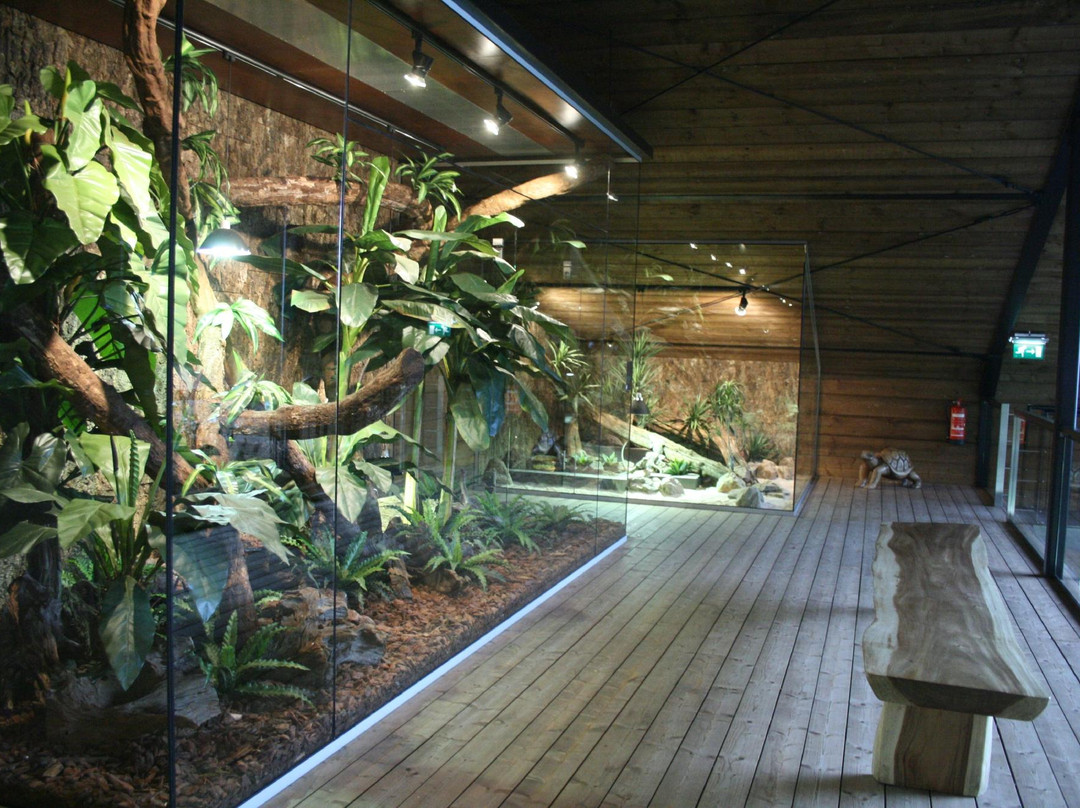 Reptile House De Aarde Breda景点图片