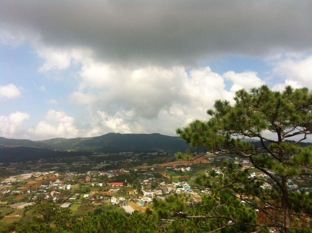 竹林禅院-大勒必去景点