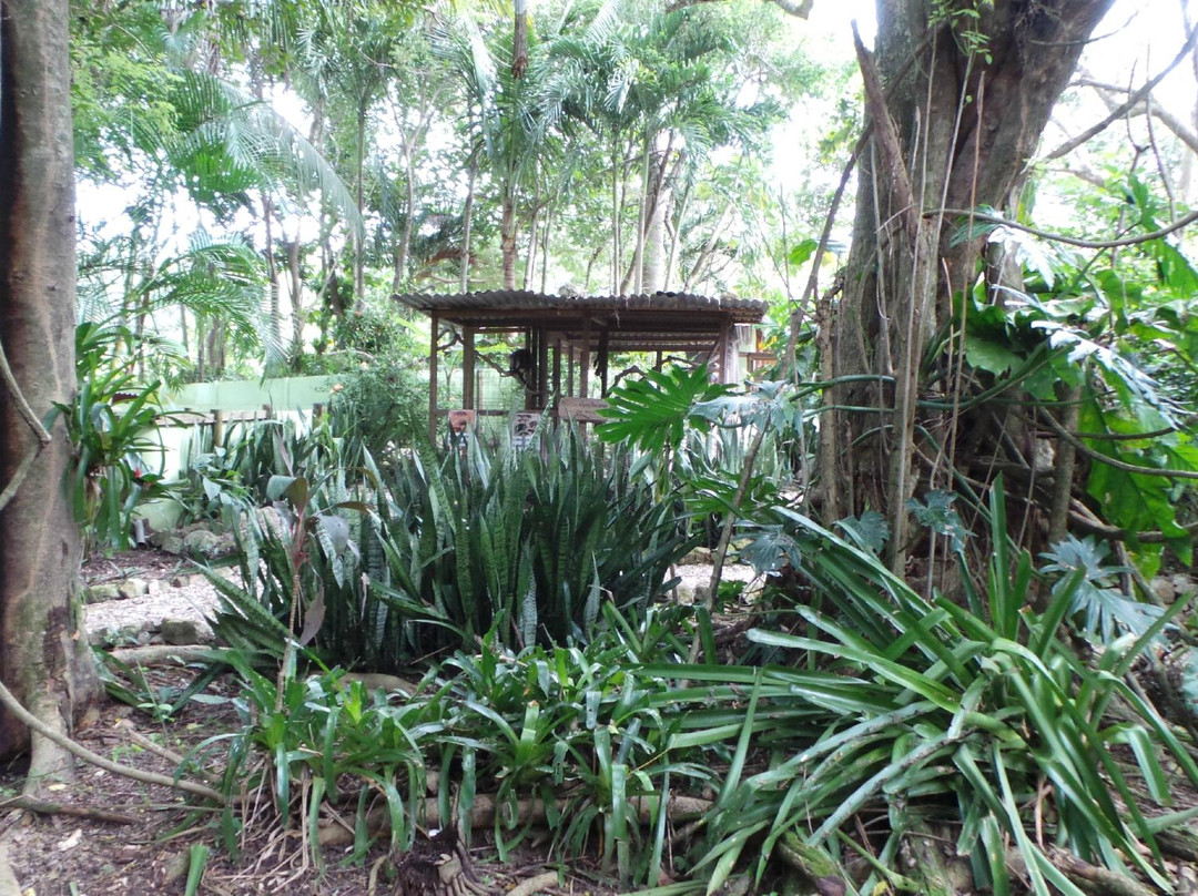 La Selva Wildlife Refuge景点图片
