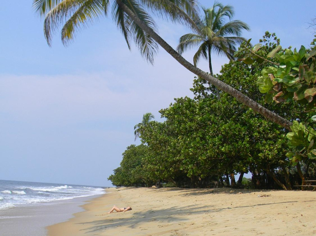Plage de Grand Batanga景点图片