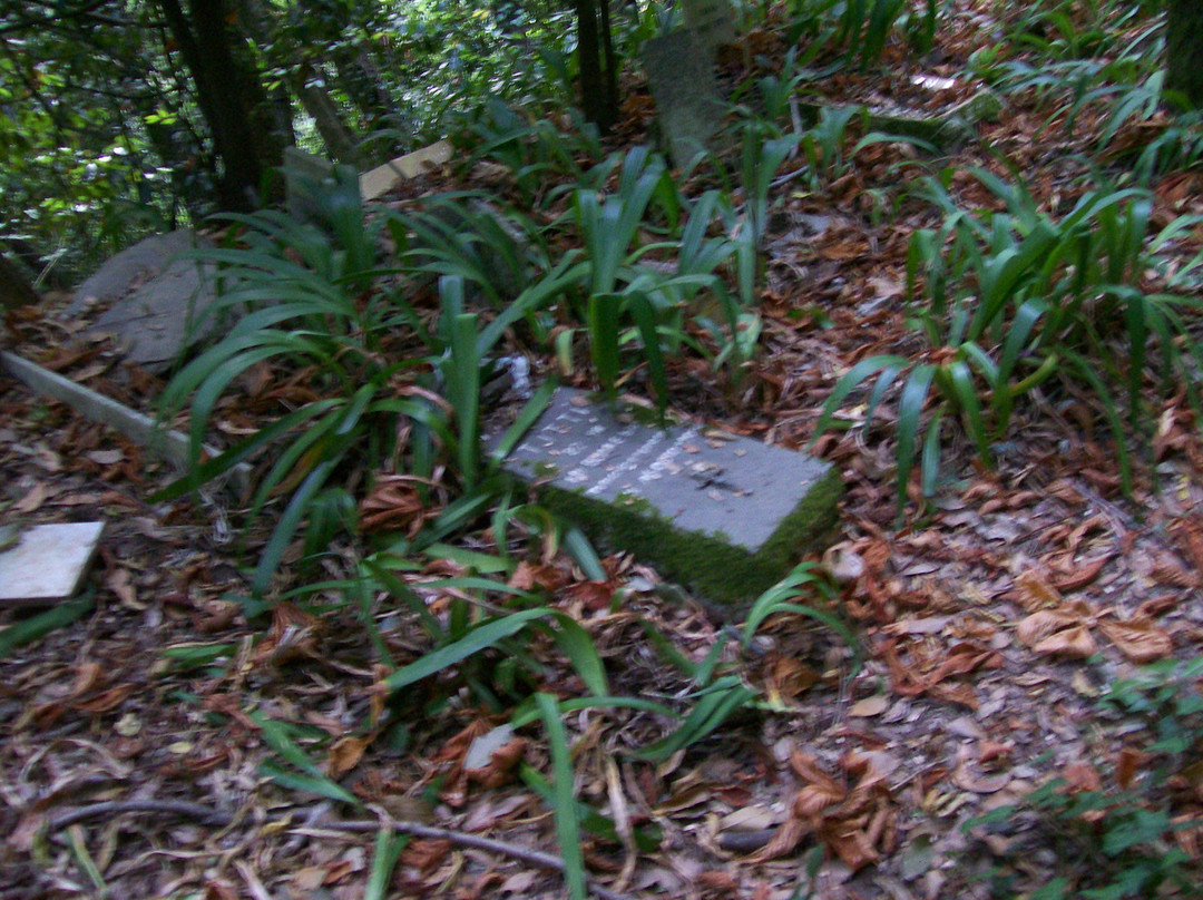 Cimitero dei cani-拉帕洛必去景点