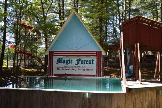 Magic Forest-乔治湖必去景点