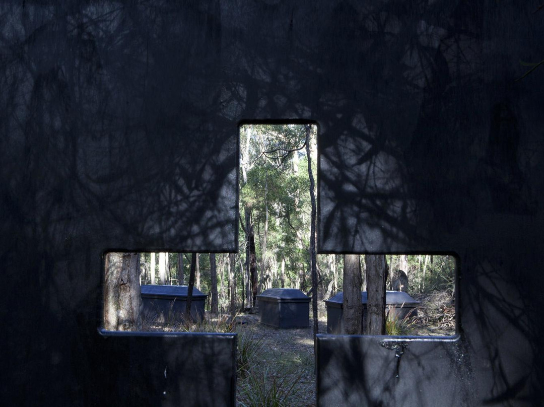 Delta Force Paintball Canberra景点图片