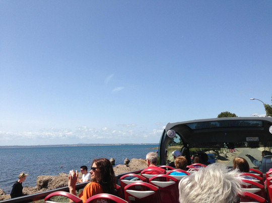 Alcudia Xperience Bus-阿尔库迪亚港必去景点