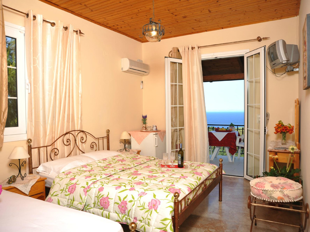 Zante Fiore Studios