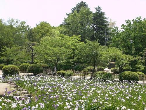 鹤舞公园-名古屋市必去景点