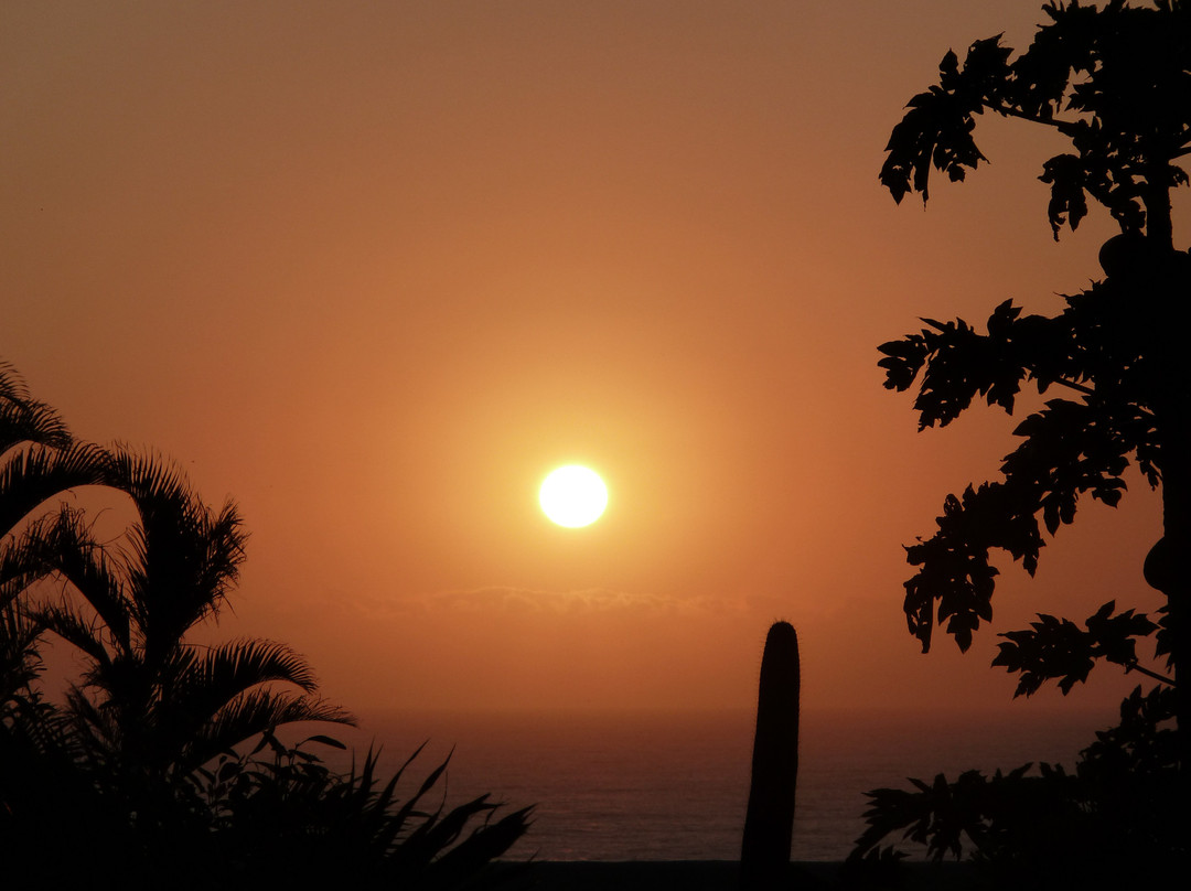 At the Robertsons Bed and Breakfast主图