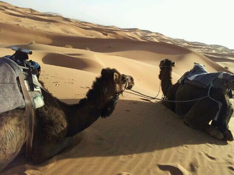 撒哈拉探险之旅-梅如卡必去景点