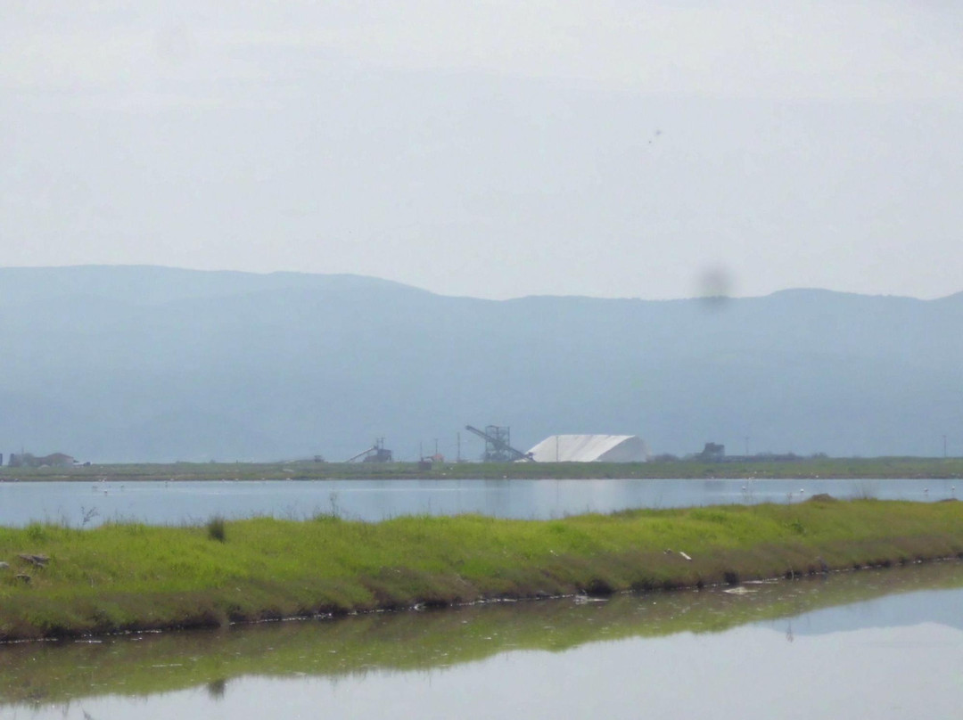 Kalloni Salt Pans-Skala Kallonis必去景点