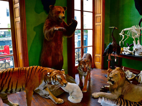 天牛-巴黎必去景点