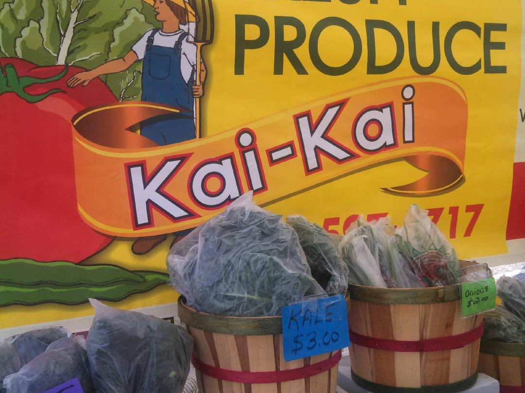 The Gardens GreenMarket-棕榈滩花园必去景点