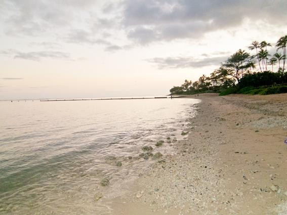 威基基海滩-火奴鲁鲁必去景点