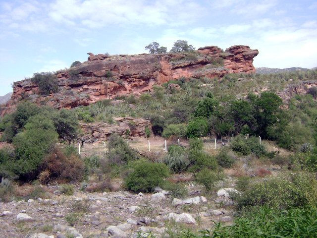 Quebrada de Olta景点图片