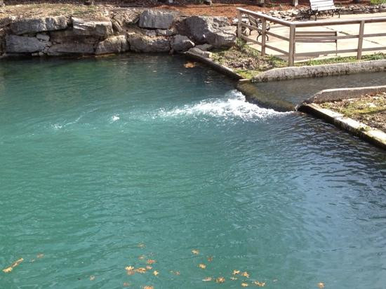 Blue Spring Heritage Center-尤里卡斯普林斯必去景点