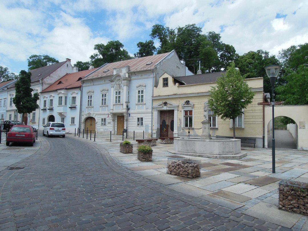 Haydn-Haus Eisenstadt景点图片