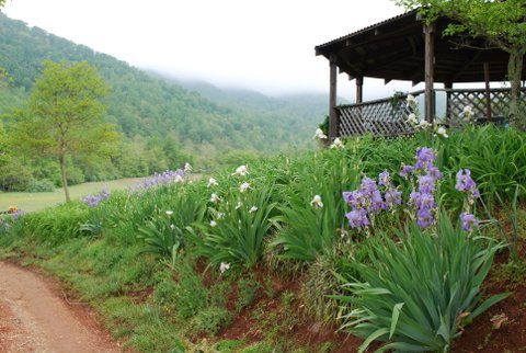 Mountain Cove Vineyards-Lovingston必去景点